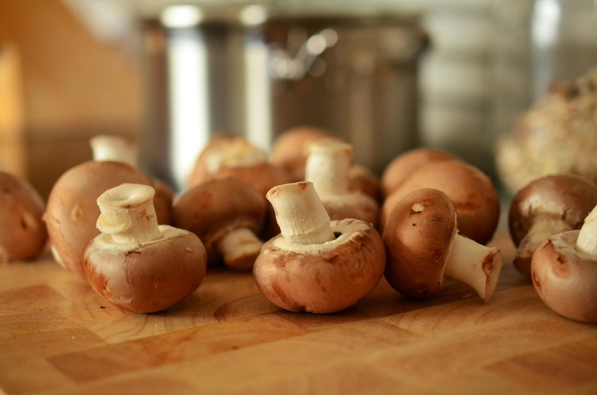 Wellness on a Plate: Cooking with Functional Mushrooms That Moms (and Their Immune Systems) Will Love 1 Daily Mom, Magazine for Families Functional Mushrooms
