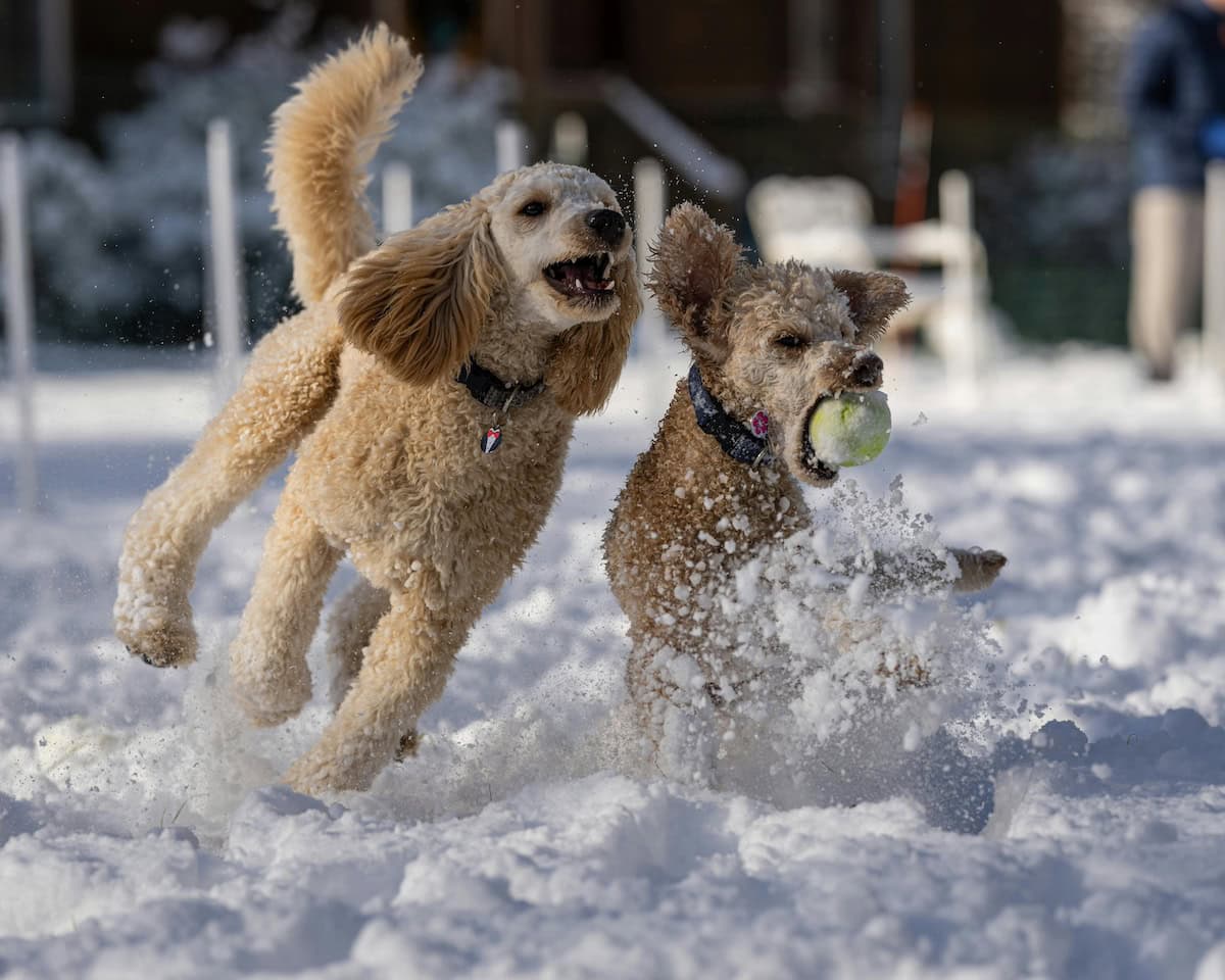 Creative Snow Day Activities for Kids: Fun Winter Activities the Whole Family Will Enjoy 19 Daily Mom, Magazine for Families Creative Snow Day Activities For Kids: Fun Winter Activities The Whole Family Will Enjoy 19 Daily Mom, Magazine For Families