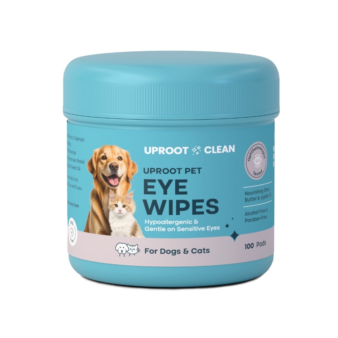 Popular Pet Supplies: The Best Dog And Cat Accessories And Products Trending In Pet Care 3 Daily Mom, Magazine For Families