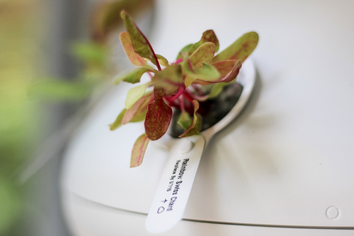 Daily-Mom-Parent-Portal-Lettuce-Grow