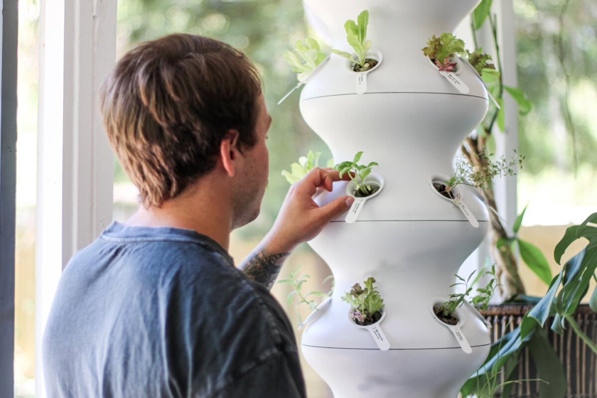 Daily-Mom-Parent-Portal-Lettuce-Grow