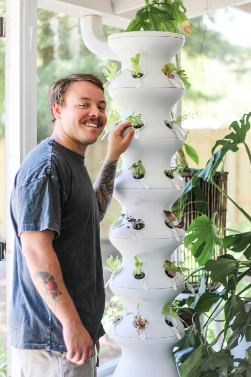 Daily-Mom-Parent-Portal-Lettuce-Grow