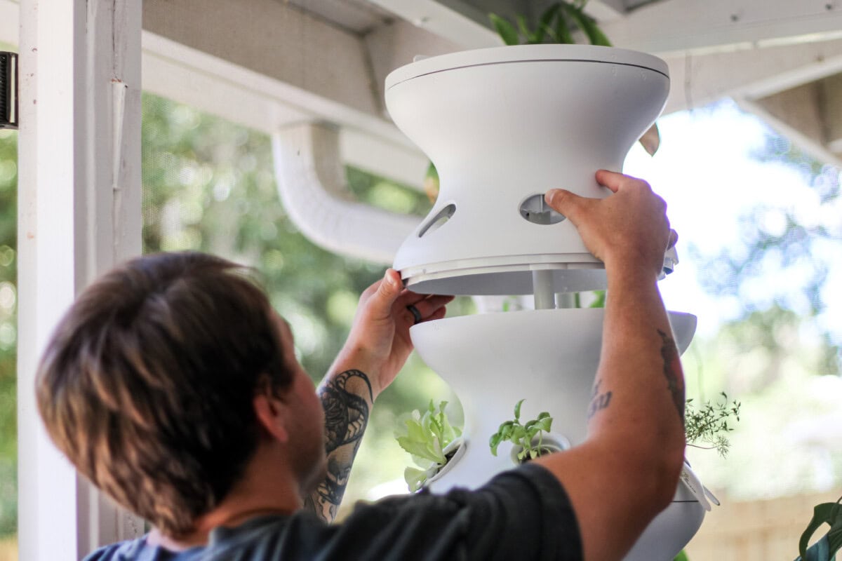 Daily-Mom-Parent-Portal-Lettuce-Grow