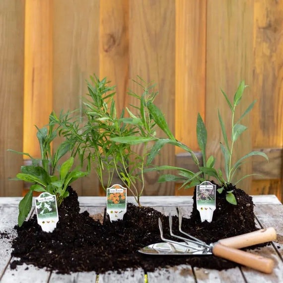 Outdoor Essentials For Perfect Summer Parties: Entertain In Style Regardless Of The Weather 29 Daily Mom, Magazine For Families