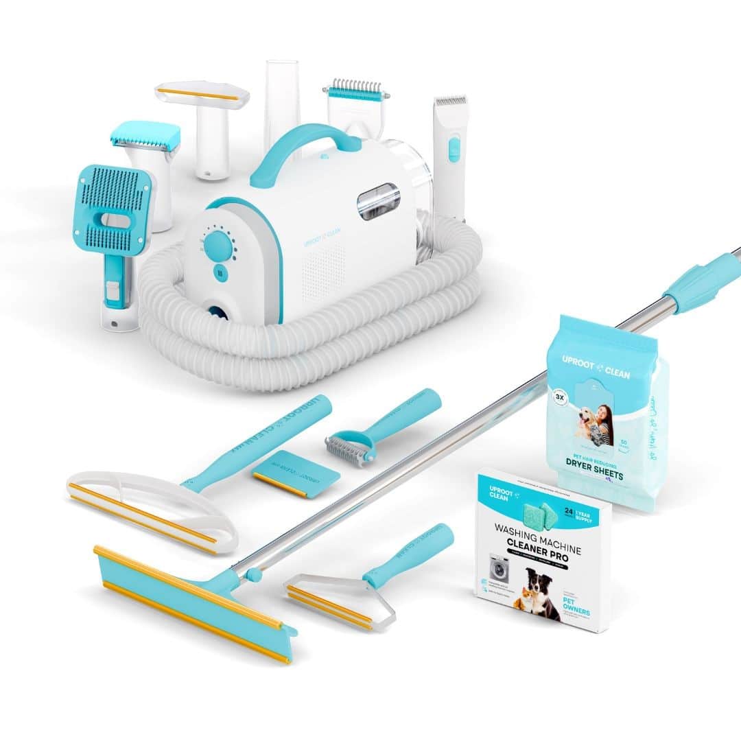 Popular Pet Supplies: The Best Dog And Cat Accessories And Products Trending In Pet Care 1 Daily Mom, Magazine For Families