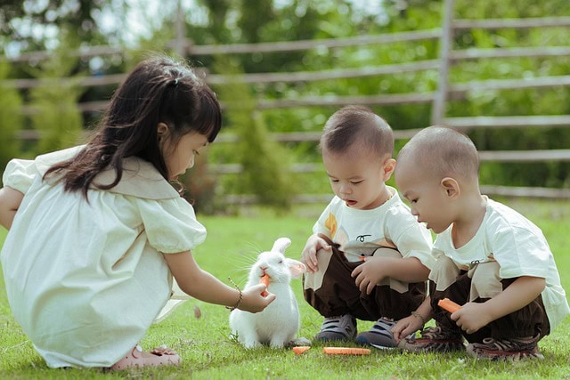 Raising Bunnies