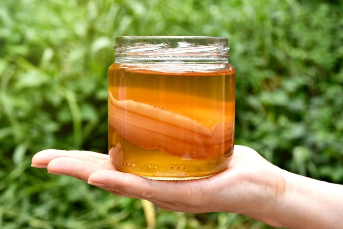 Make Kombucha At Home: A Beginner'S Guide To Homemade Kombucha Making, From Ferment To Flavor 4 Daily Mom, Magazine For Families