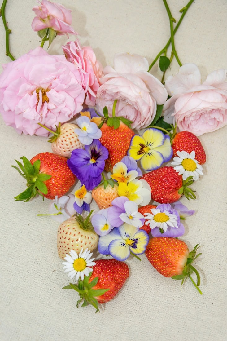Strawberry Centerpieces