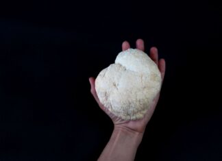 10+ Delicious Lion’s Mane Mushroom Recipes: Best Ways to Cook, Prepare, and Enjoy This Unique Mushroom