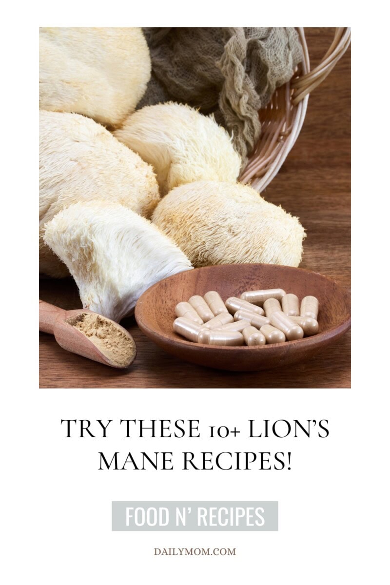 10+ Delicious Lion'S Mane Mushroom Recipes: Best Ways To Cook, Prepare, And Enjoy This Unique Mushroom 6 Daily Mom, Magazine For Families