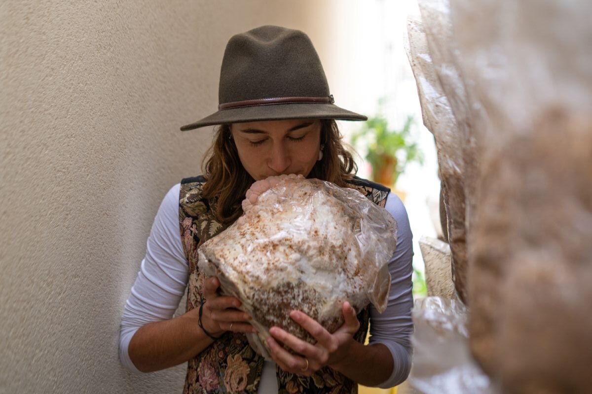Lion'S Mane Mushroom Recipes