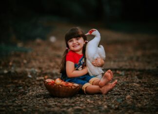 Raising Ducks 101: The Complete Beginner’s Guide to the Care Of & Raising Ducks for Eggs in Your Backyard Flock