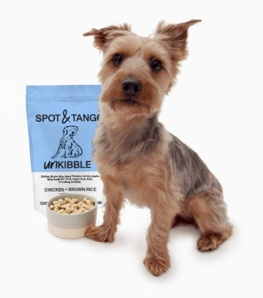 Popular Pet Supplies: The Best Dog And Cat Accessories And Products Trending In Pet Care 5 Daily Mom, Magazine For Families