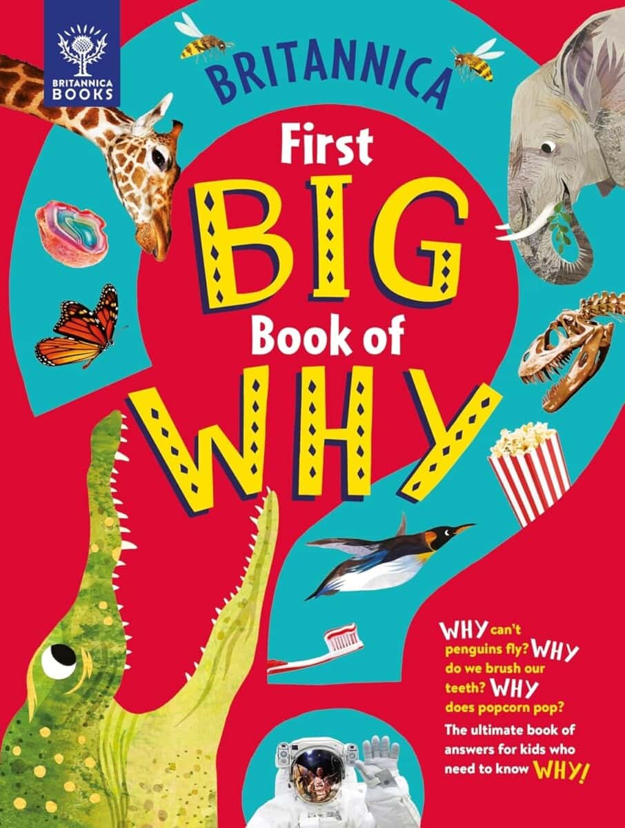 Best Gifts For Book Lovers: Great Books And Bookish Gifts For Readers Of All Ages 5 Daily Mom, Magazine For Families