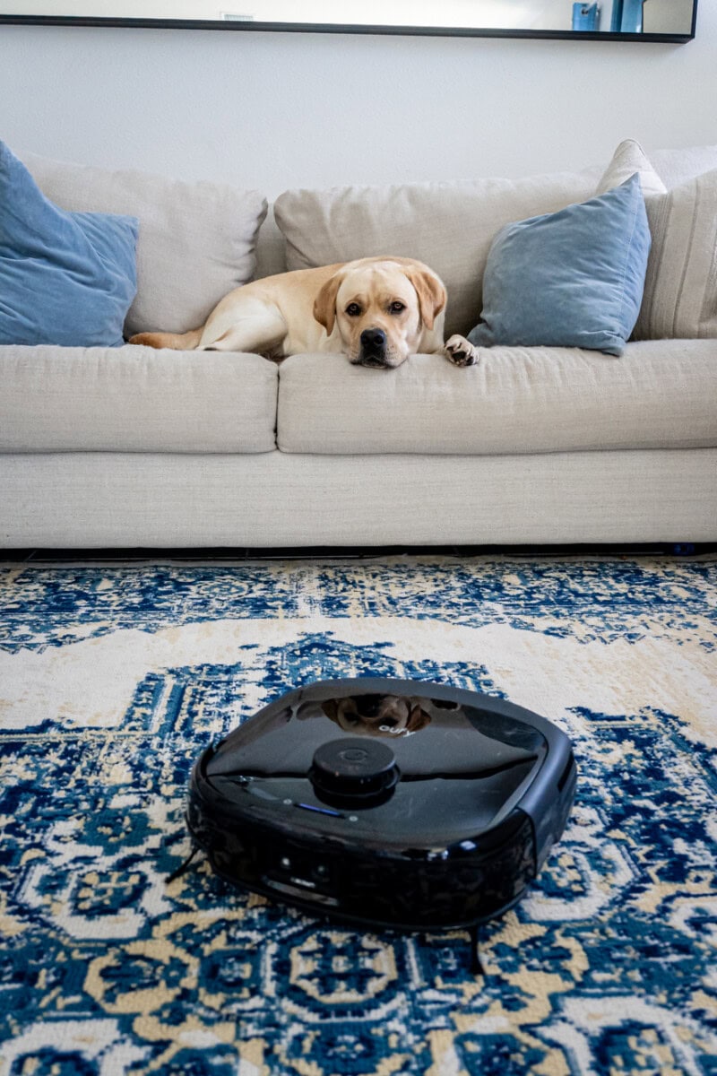 Eufy Robot Vacuum E28 Review: Complete 2-In-1 Robot Vacuum And Mop Combo With Portable Deep Cleaner 9 Daily Mom, Magazine For Families