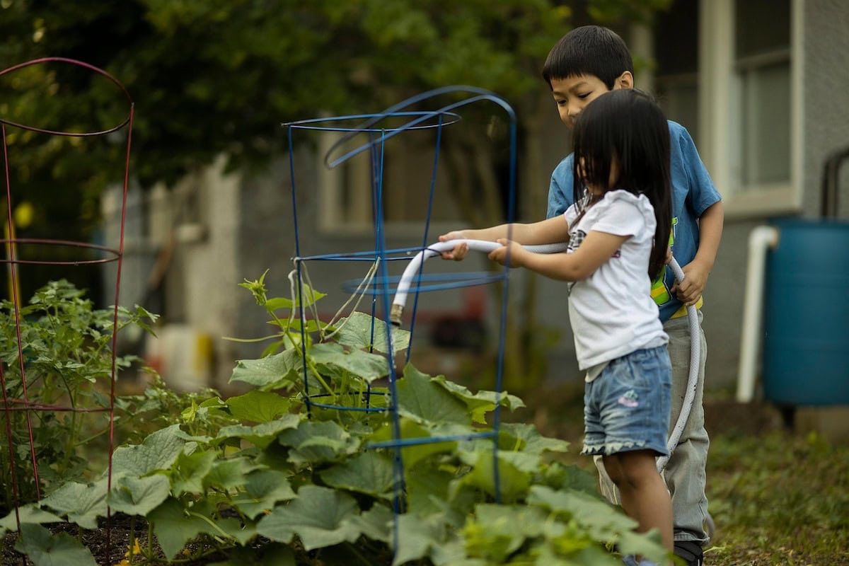 4 Fun Steps to Teach Kids Self-Sufficiency Garden Skills: How to Plan, Layout and Plant a Self-Sufficient Garden that can Feed Your Family 1 Daily Mom, Magazine for Families 4 Fun Steps To Teach Kids Self-Sufficiency Garden Skills: How To Plan, Layout And Plant A Self-Sufficient Garden That Can Feed Your Family 1 Daily Mom, Magazine For Families