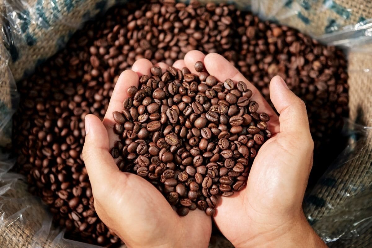 Make Chocolate Covered Espresso Beans: Easy Diy Recipe + Variations On Chocolate Covered Coffee Beans 2 Daily Mom, Magazine For Families