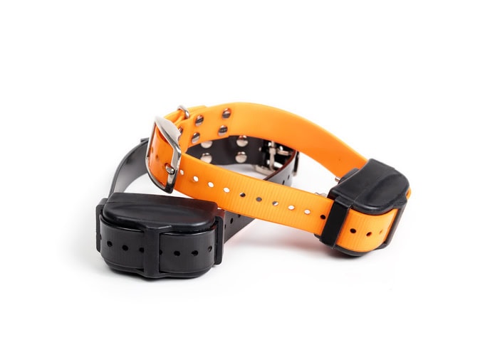 E-Collar Training Tips: How to Train Your Dog, Use a Shock Collar, and Improve Dog Training with an Electronic Collar 9 Daily Mom, Magazine for Families E-Collar Training Tips: How To Train Your Dog, Use A Shock Collar, And Improve Dog Training With An Electronic Collar 8 Daily Mom, Magazine For Families