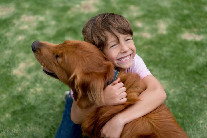 E-Collar Training Tips: How to Train Your Dog, Use a Shock Collar, and Improve Dog Training with an Electronic Collar 15 Daily Mom, Magazine for Families E-Collar Training Tips: How To Train Your Dog, Use A Shock Collar, And Improve Dog Training With An Electronic Collar 14 Daily Mom, Magazine For Families