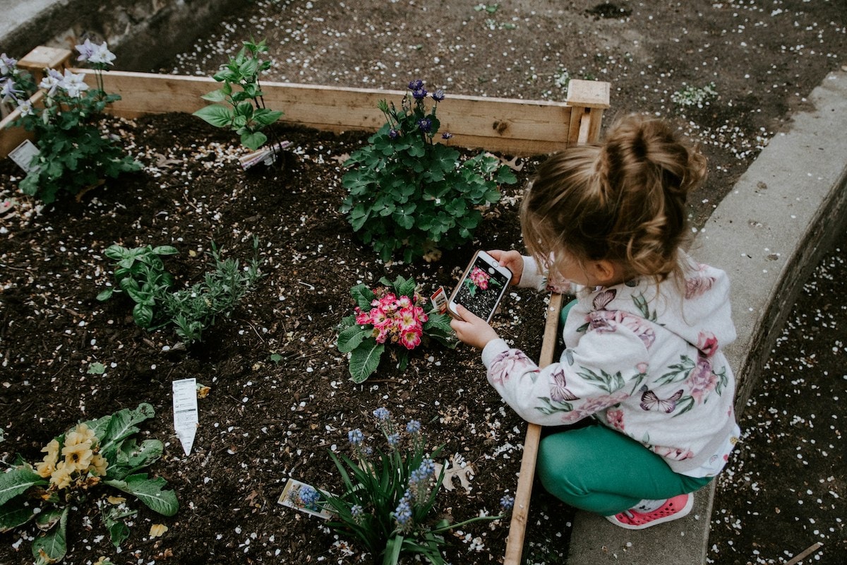4 Fun Steps to Teach Kids Self-Sufficiency Garden Skills: How to Plan, Layout and Plant a Self-Sufficient Garden that can Feed Your Family 2 Daily Mom, Magazine for Families 4 Fun Steps To Teach Kids Self-Sufficiency Garden Skills: How To Plan, Layout And Plant A Self-Sufficient Garden That Can Feed Your Family 2 Daily Mom, Magazine For Families