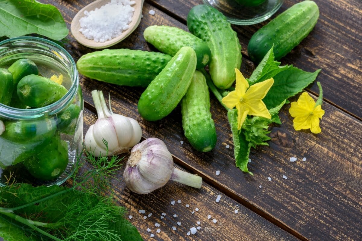 7 Tips to a Mild Pickle de Gallo Recipe: A Fresh Pickle Tangy Twist of Pickle Salsa 6 Daily Mom, Magazine for Families 7 Tips To A Mild Pickle De Gallo Recipe: A Fresh Pickle Tangy Twist Of Pickle Salsa 5 Daily Mom, Magazine For Families