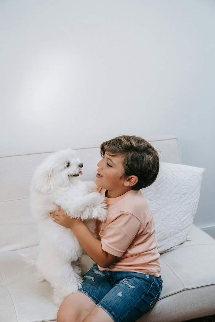 Easy Tricks To Teach Your Dog: Fun Commands For Puppies, Pros, And Old Dogs Too 6 Daily Mom, Magazine For Families