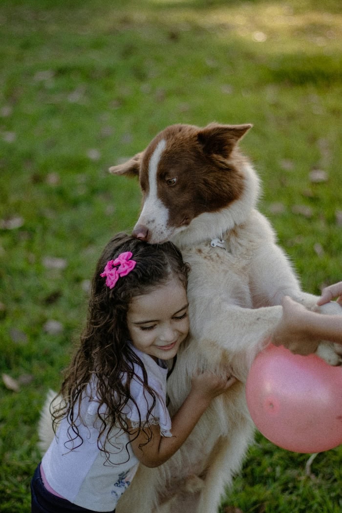 Easy Tricks To Teach Your Dog: Fun Commands For Puppies, Pros, And Old Dogs Too 4 Daily Mom, Magazine For Families