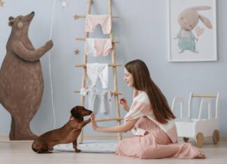 Easy Tricks to Teach Your Dog: Fun Commands for Puppies, Pros, and Old Dogs Too