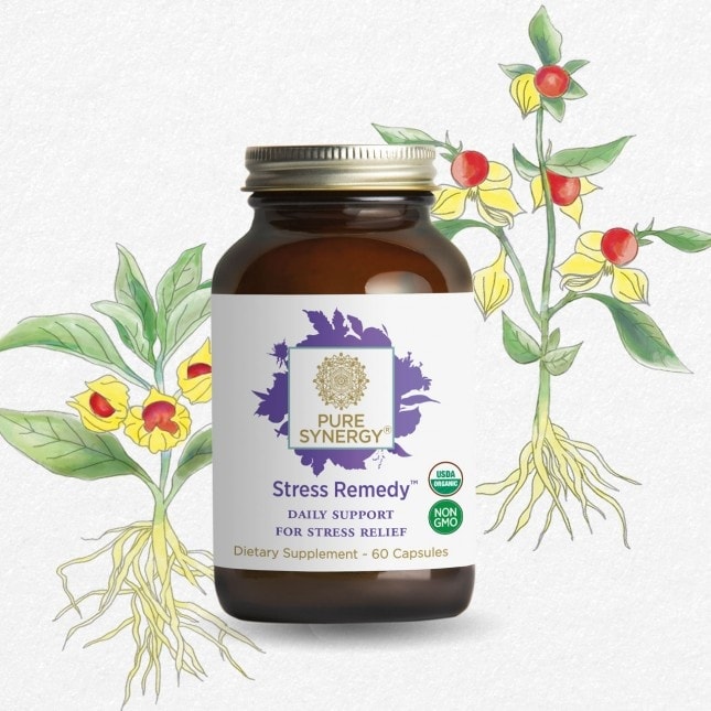 Top Health And Wellness Products For Back To School 2025: The Best Health Products And Essential Care For A Healthy Year 75 Daily Mom, Magazine For Families