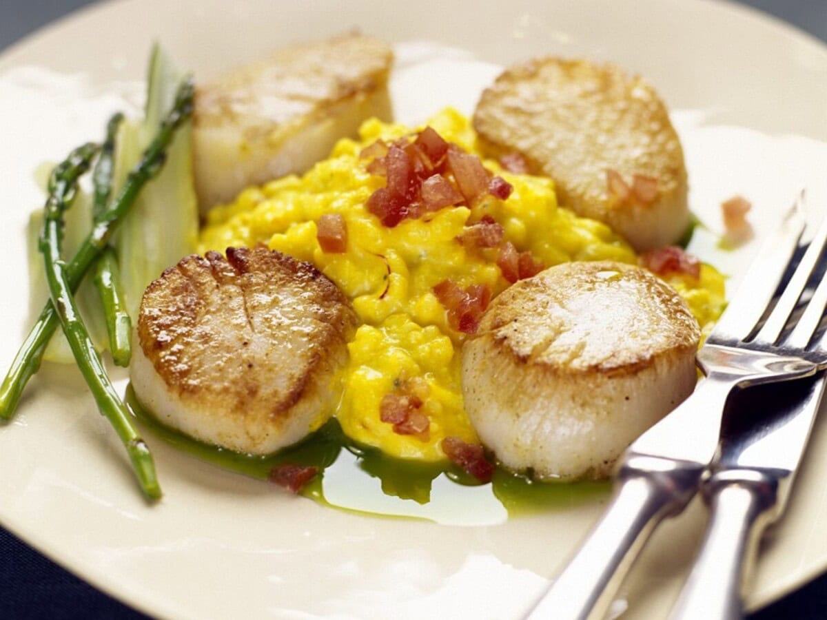15 Best Recipes Using Scallops: Perfect Seared Scallops &Amp; Pan Seared Scallops With Garlic Butter Cream Sauce 11 Daily Mom, Magazine For Families