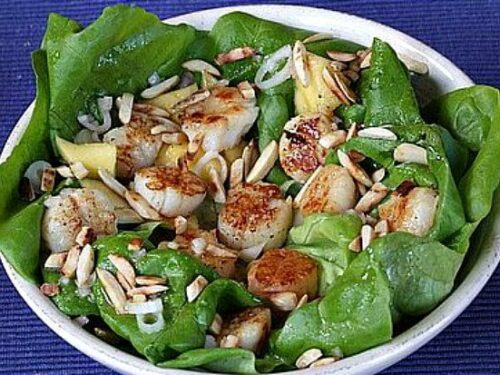 Recipes Using Scallops
