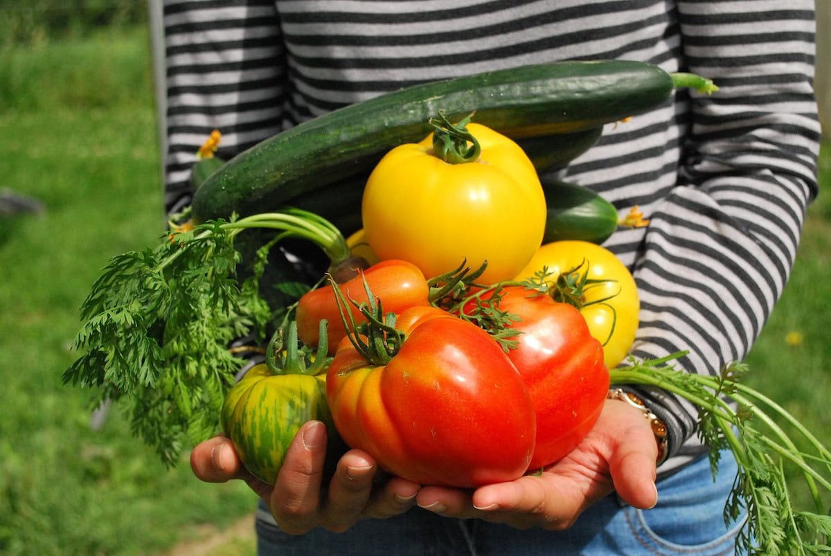 4 Fun Steps to Teach Kids Self-Sufficiency Garden Skills: How to Plan, Layout and Plant a Self-Sufficient Garden that can Feed Your Family 7 Daily Mom, Magazine for Families Self-Sufficient Garden