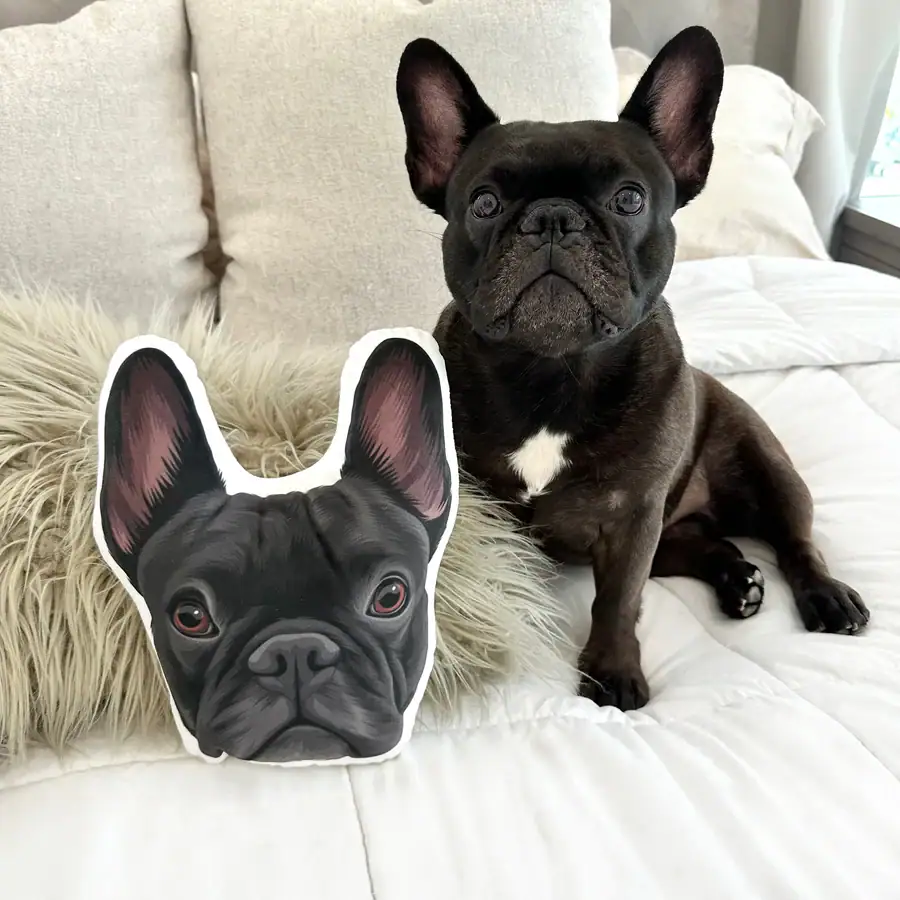 Dog Mom Presents &Amp; Cat-Lover Gifts: The Ultimate Gift Guide With Unique, Thoughtful Ideas For Animal Themed Baskets, Dog Lovers, And Pup Parents 5 Daily Mom, Magazine For Families