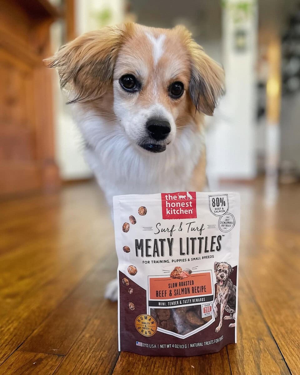 Dog Mom Presents &Amp; Cat-Lover Gifts: The Ultimate Gift Guide With Unique, Thoughtful Ideas For Animal Themed Baskets, Dog Lovers, And Pup Parents 18 Daily Mom, Magazine For Families