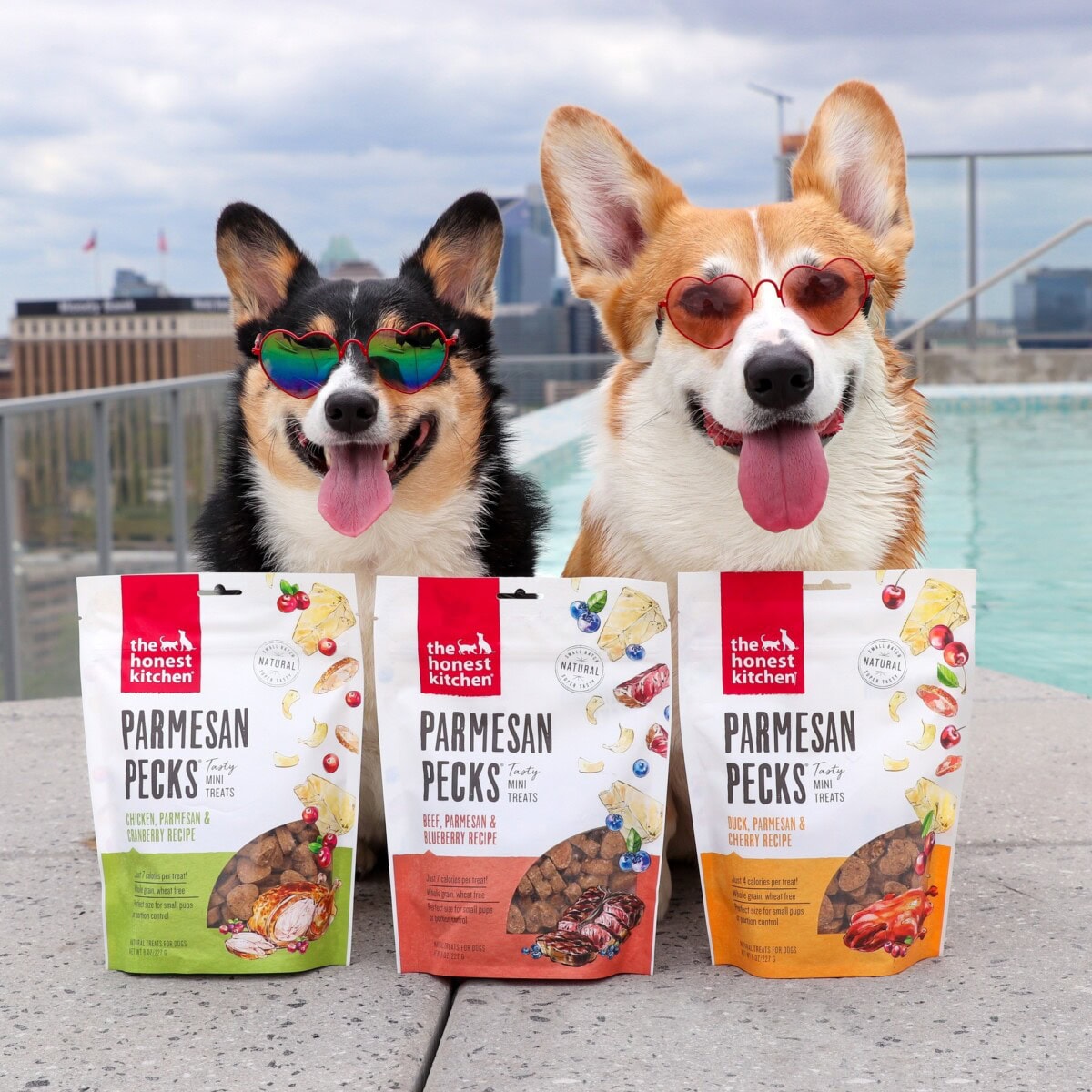 Dog Mom Presents &Amp; Cat-Lover Gifts: The Ultimate Gift Guide With Unique, Thoughtful Ideas For Animal Themed Baskets, Dog Lovers, And Pup Parents 21 Daily Mom, Magazine For Families