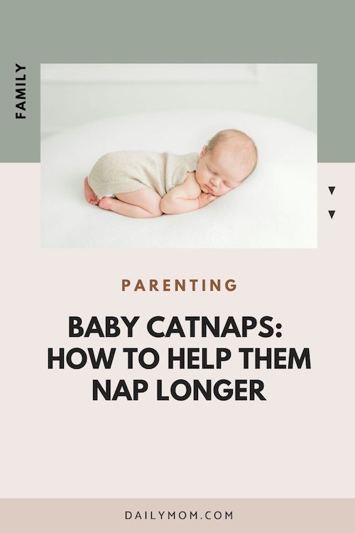 Daily Mom Parent Portal Infant Cat Naps