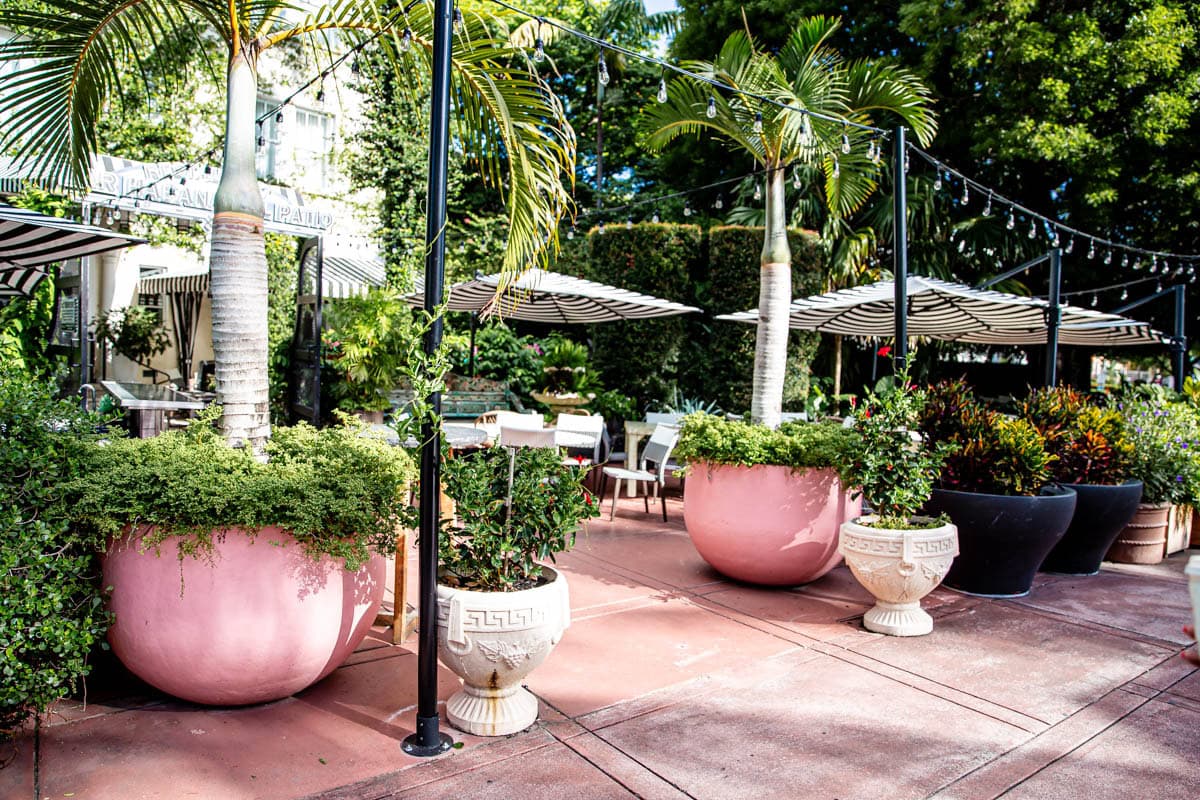 The Kimpton Angler'S Hotel Miami Beach: A Stylish And Family-Friendly Stay In South Beach 5 Daily Mom, Magazine For Families