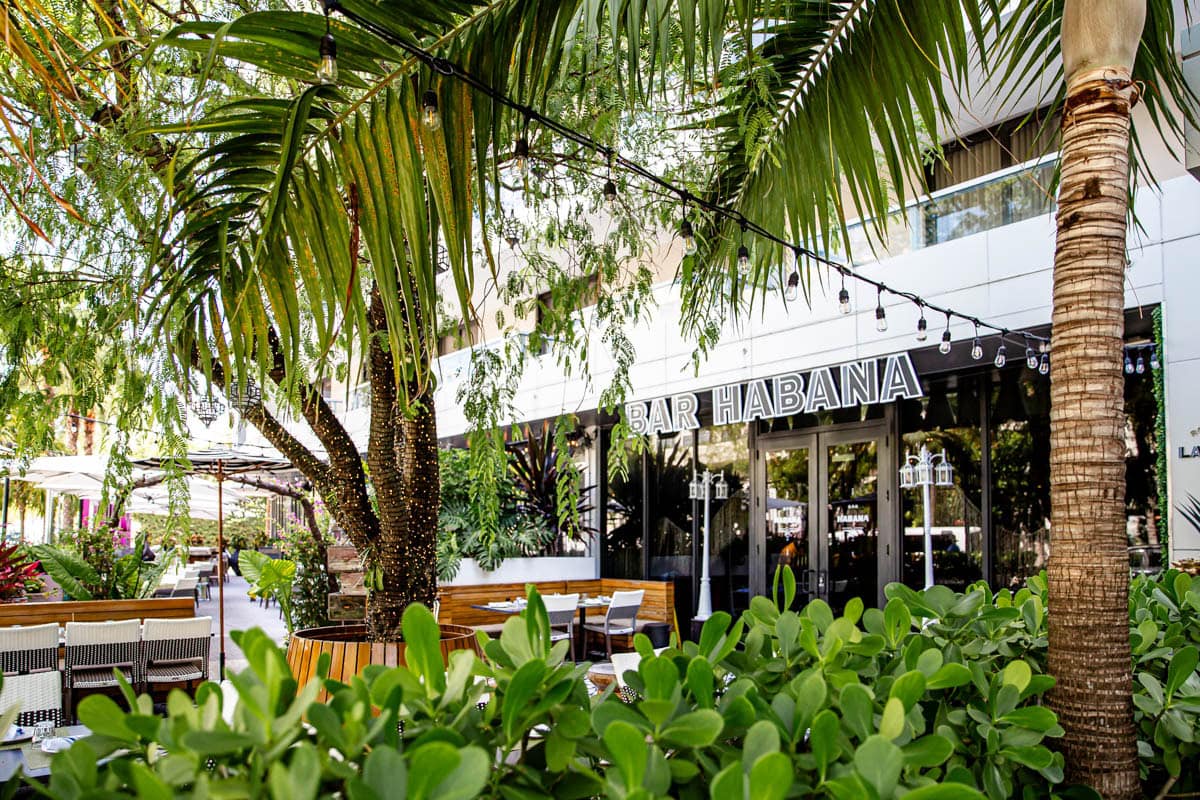 The Kimpton Angler'S Hotel Miami Beach: A Stylish And Family-Friendly Stay In South Beach 9 Daily Mom, Magazine For Families