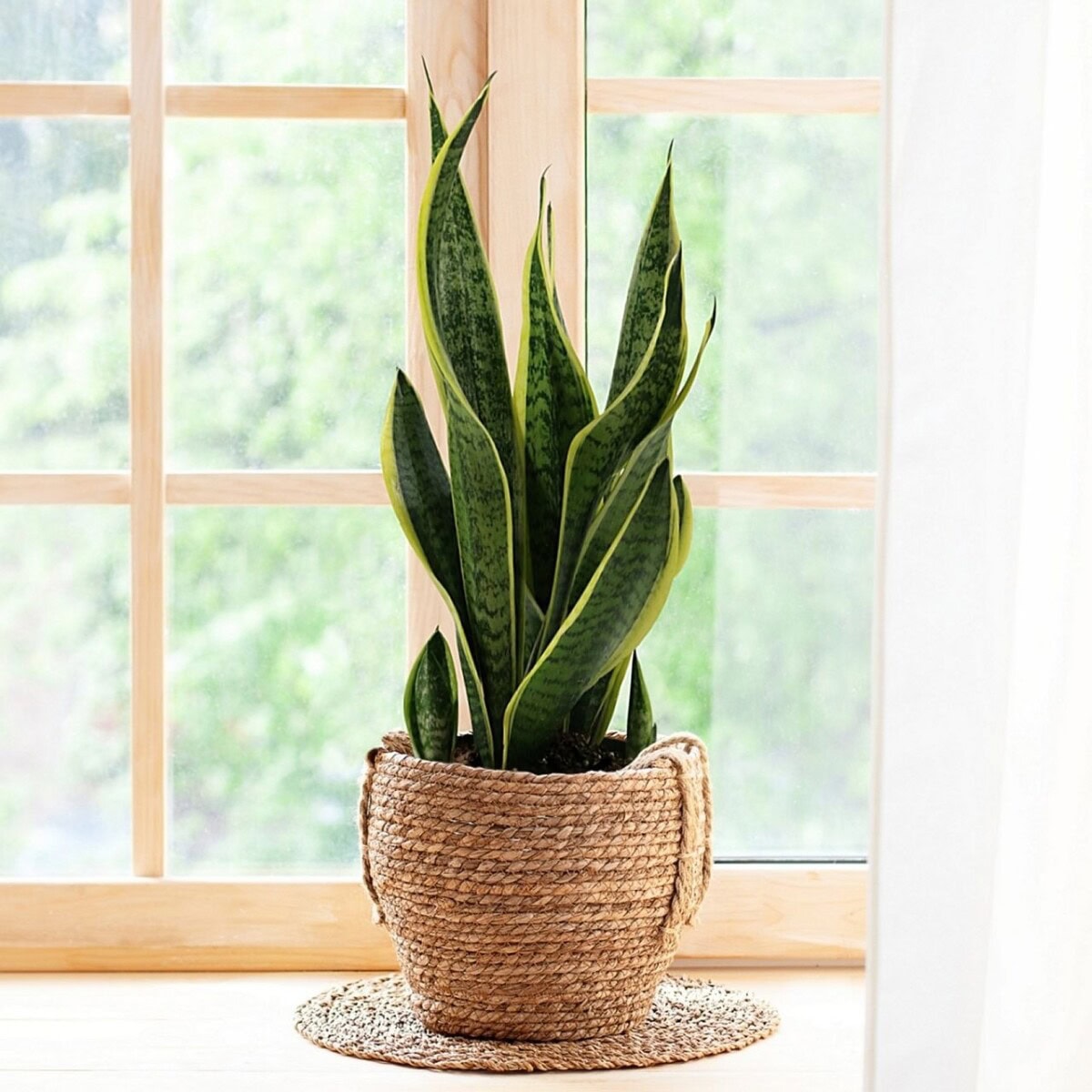 Functional &Amp; Fabulous Autumn Home Updates To Create A Cozy &Amp; Comfortable Space This Season 168 Daily Mom, Magazine For Families