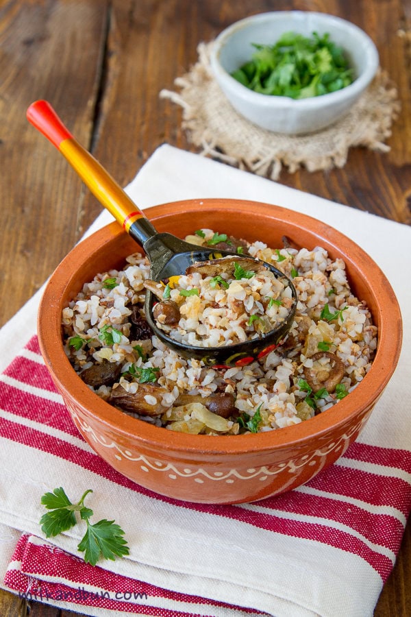 Cheap Rice Meals