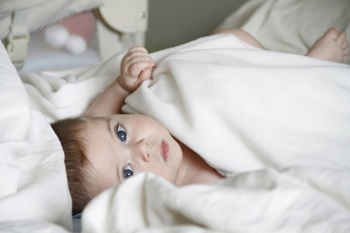 Daily Mom Parent Portal Infant Cat Naps