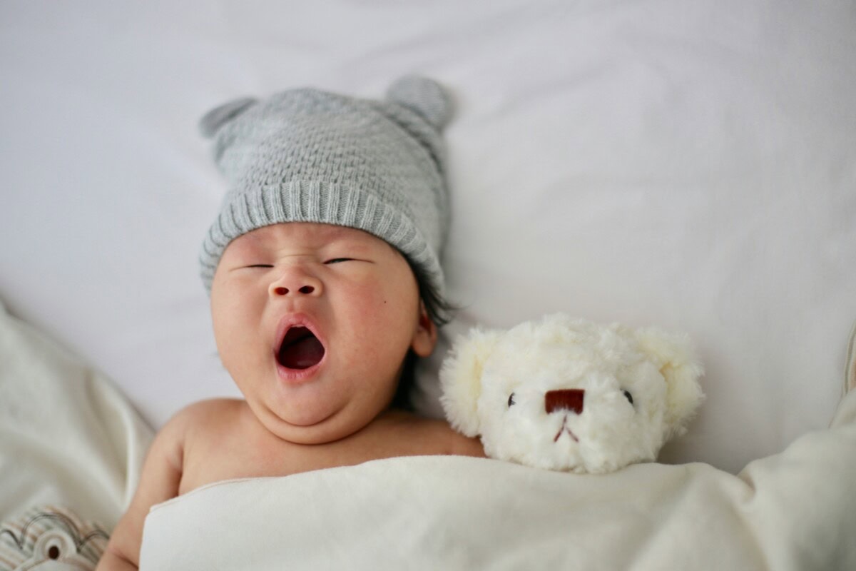 Daily Mom Parent Portal Infant Cat Naps
