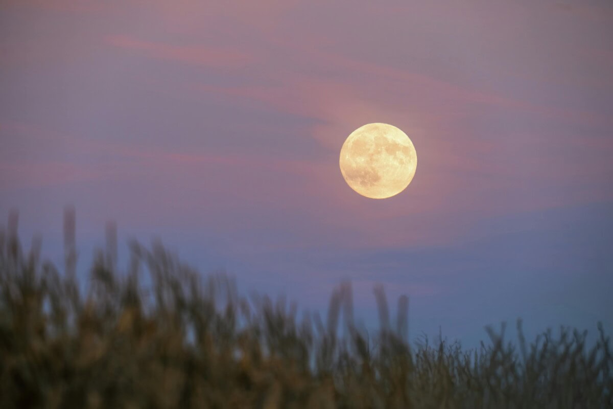 Moon Baths: The Full Moon Ritual Every Mother Needs to Cleanse Her Energy and Restore Her Spirit 2 Daily Mom, Magazine for Families Moon Baths: The Full Moon Ritual Every Mother Needs To Cleanse Her Energy And Restore Her Spirit 2 Daily Mom, Magazine For Families
