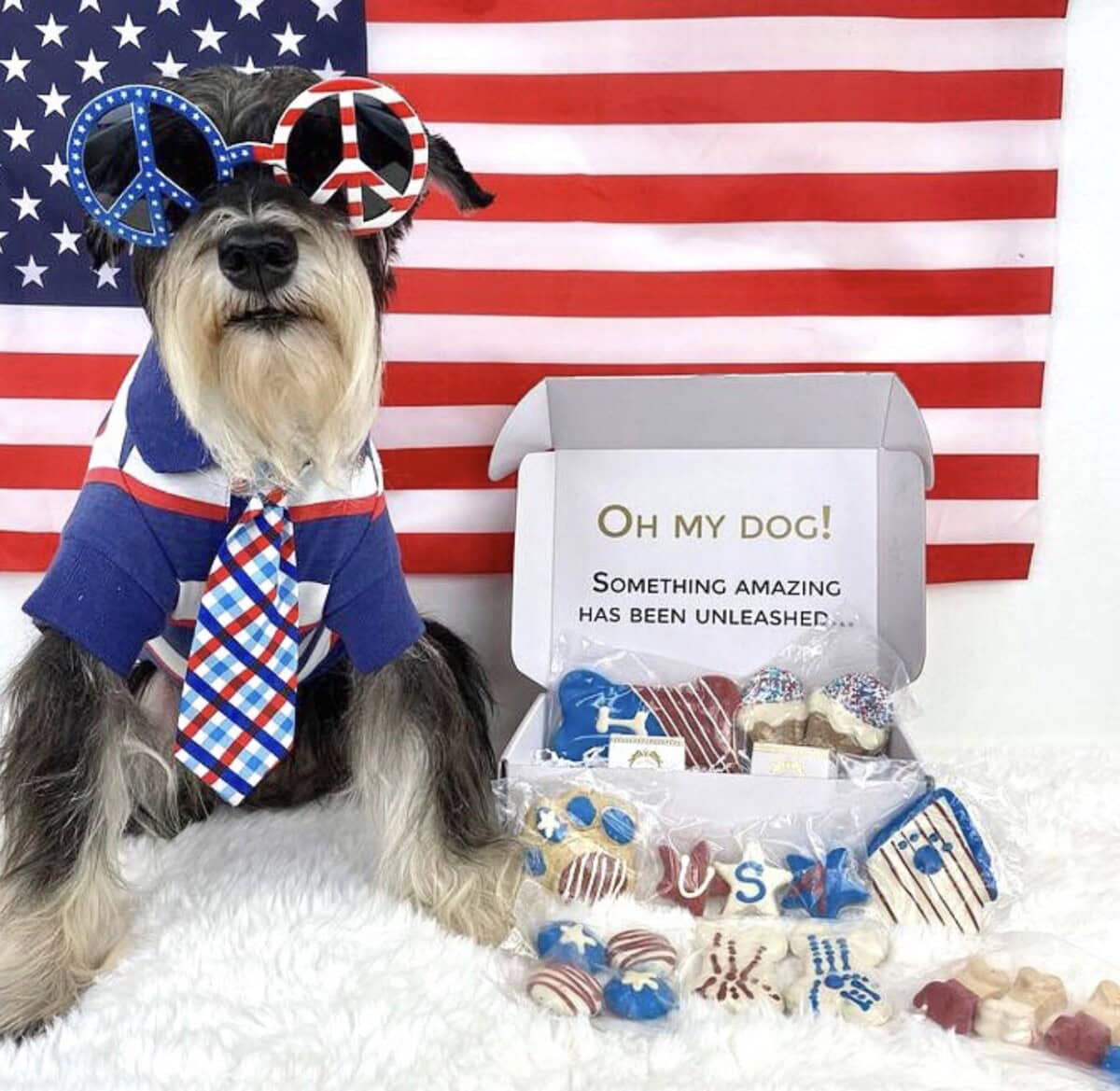 Dog Mom Presents &Amp; Cat-Lover Gifts: The Ultimate Gift Guide With Unique, Thoughtful Ideas For Animal Themed Baskets, Dog Lovers, And Pup Parents 2 Daily Mom, Magazine For Families