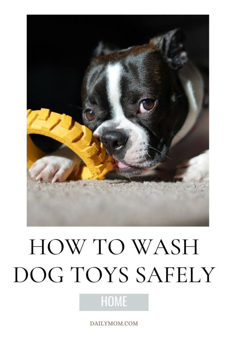 How to Wash Dog Toys Safely: The Best Ways to Clean Dog Toys, Disinfect Plush Dog Toys with Squeakers, and Keep Your Dog's Favorite Toys Fresh 5 Daily Mom, Magazine for Families Daily Mom Parent Portal How To Wash Dog Toys