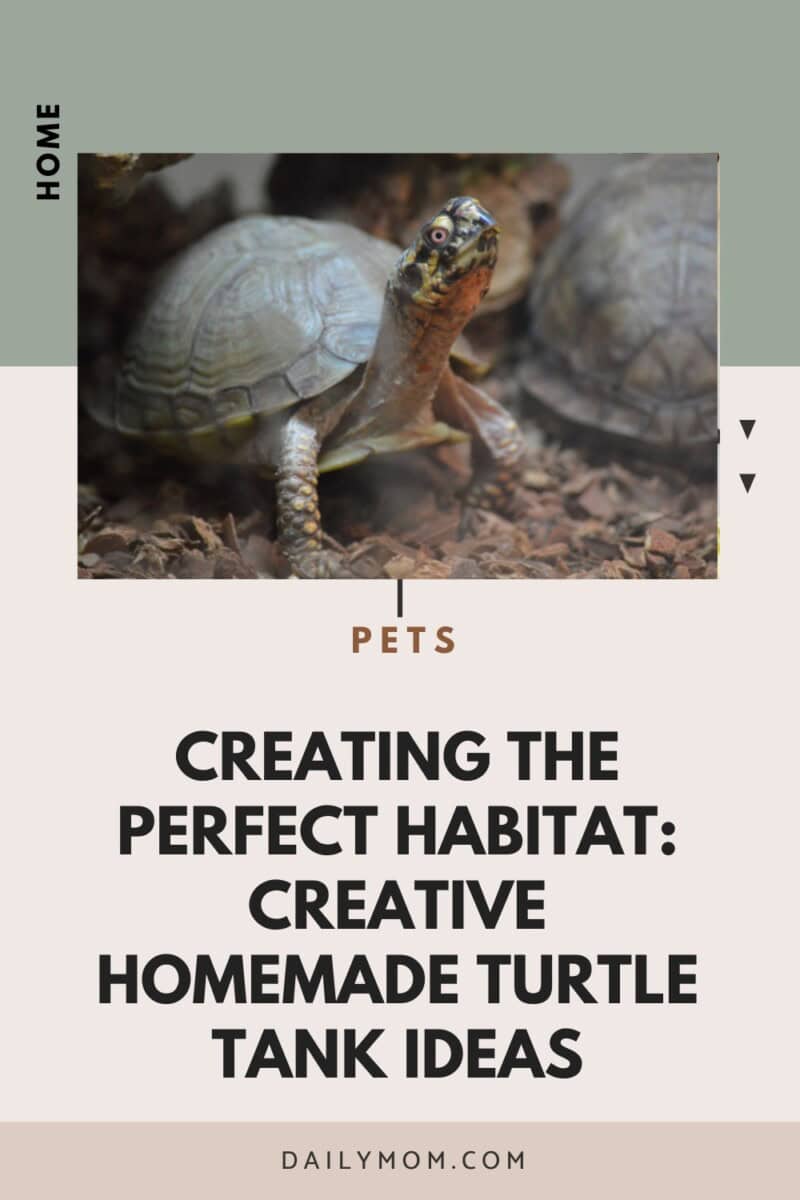 Homemade Turtle Tank Ideas That Actually Work: Diy Turtle Habitat Setups For Indoor Tanks, Basking Areas, And Terrariums 29 Daily Mom, Magazine For Families