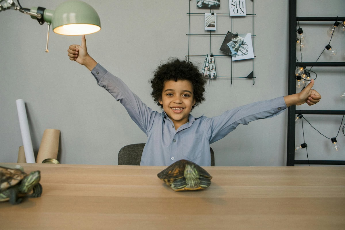 Homemade Turtle Tank Ideas That Actually Work: Diy Turtle Habitat Setups For Indoor Tanks, Basking Areas, And Terrariums 4 Daily Mom, Magazine For Families