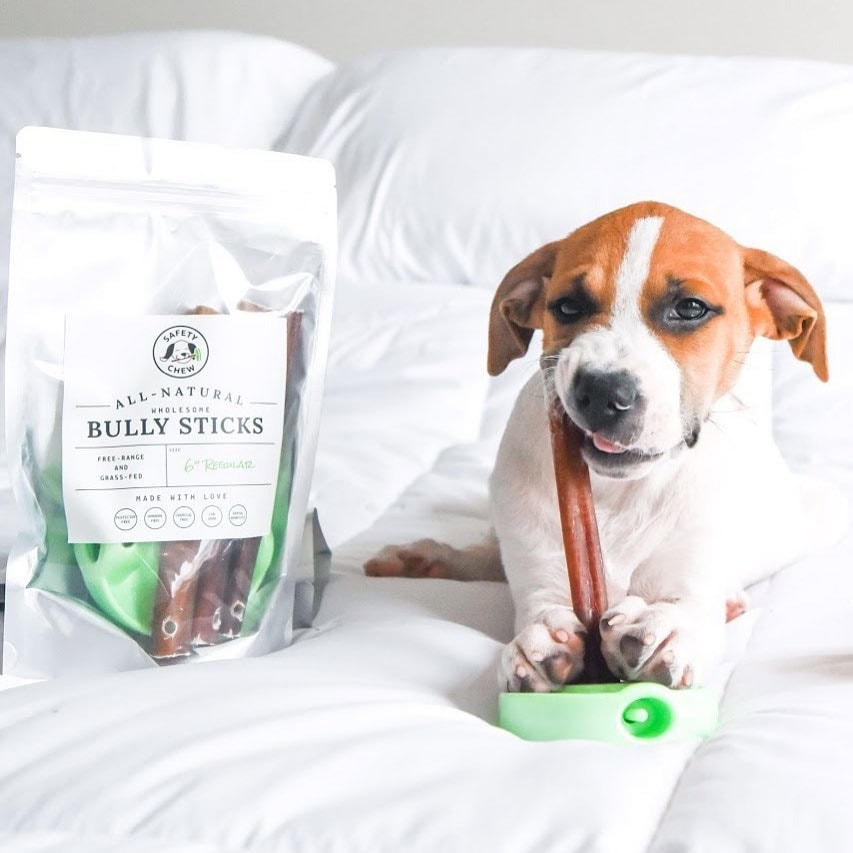 Dog Mom Presents &Amp; Cat-Lover Gifts: The Ultimate Gift Guide With Unique, Thoughtful Ideas For Animal Themed Baskets, Dog Lovers, And Pup Parents 14 Daily Mom, Magazine For Families