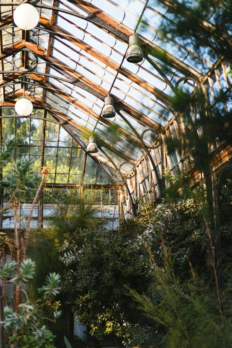 Solarpunk House Design And Interior Design: Building A Home For A Brighter Future 5 Daily Mom, Magazine For Families
