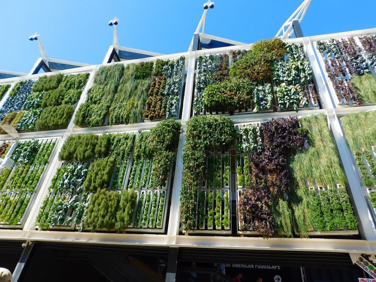 Solarpunk House Design And Interior Design: Building A Home For A Brighter Future 3 Daily Mom, Magazine For Families